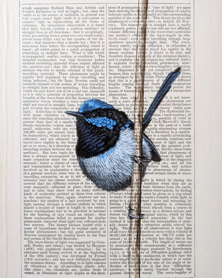 Acrylic Bird Paintings by Craig Williams