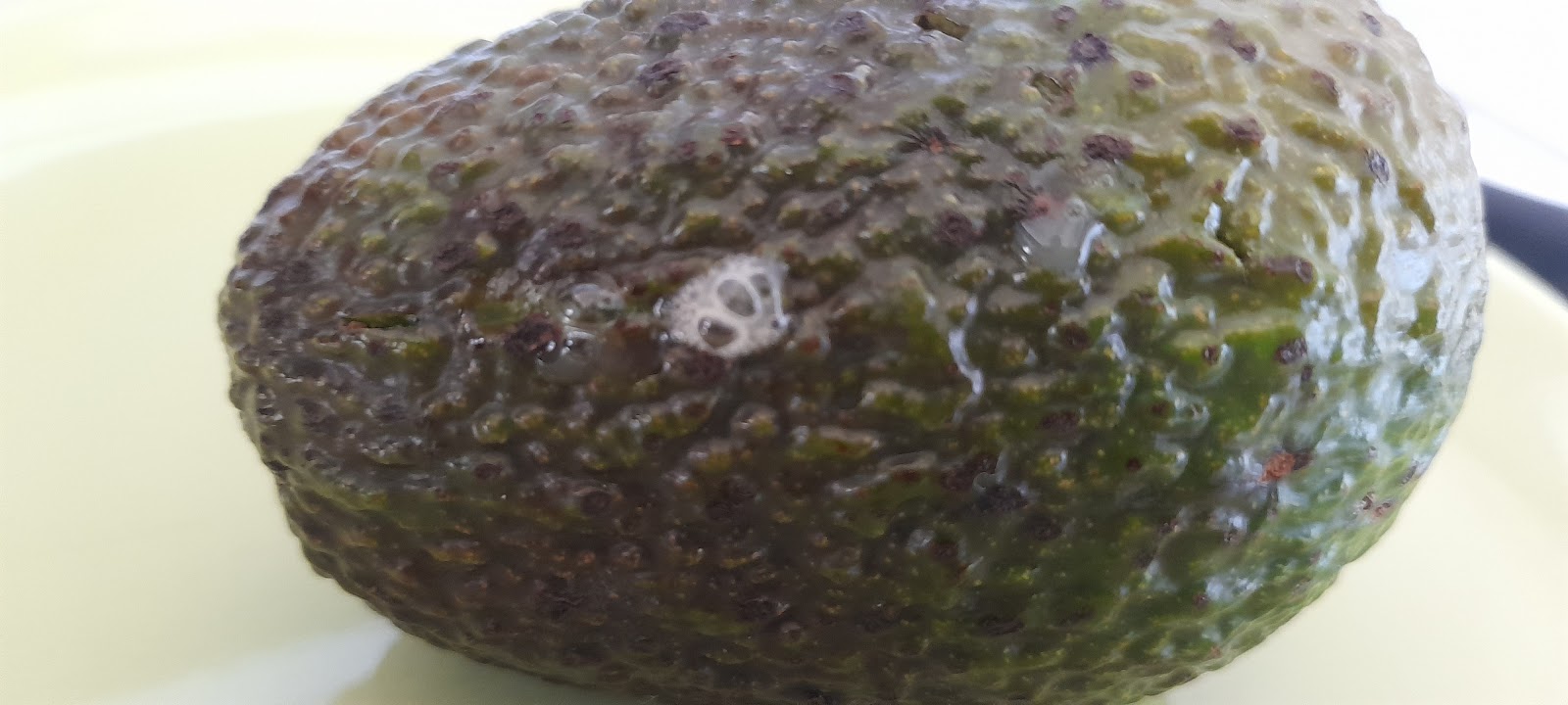 Bubbles escaping microwaved avocado.