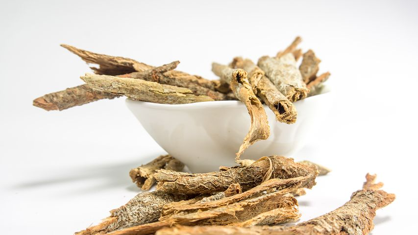 Popular Medicinal Plants