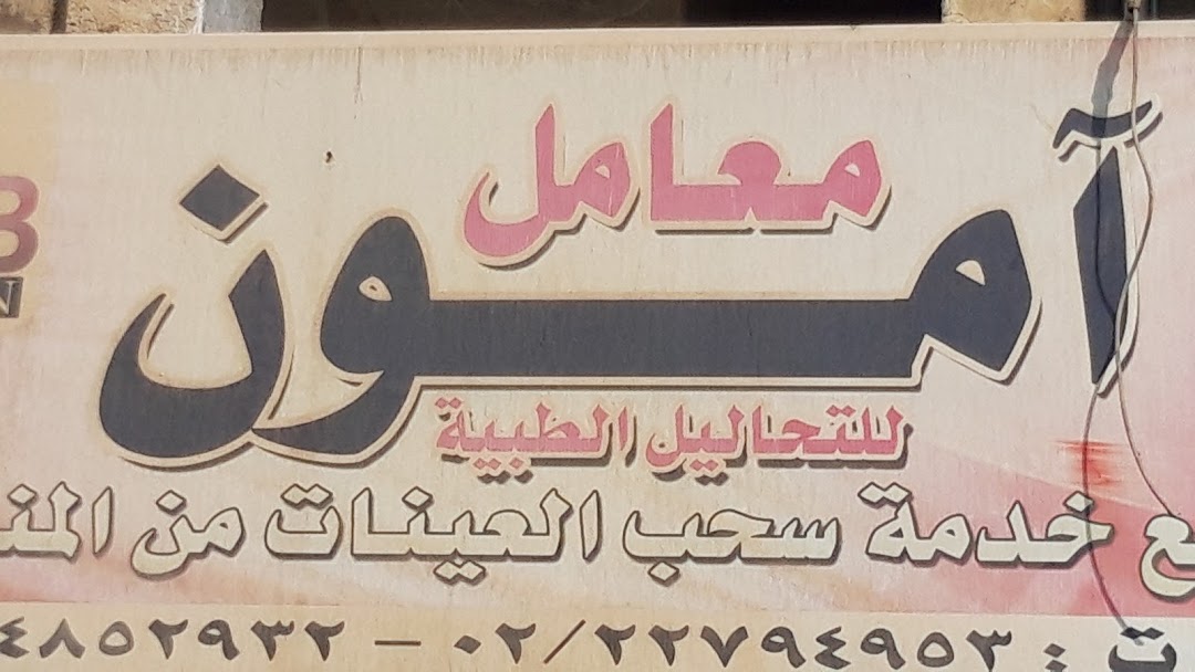 معامل آمون