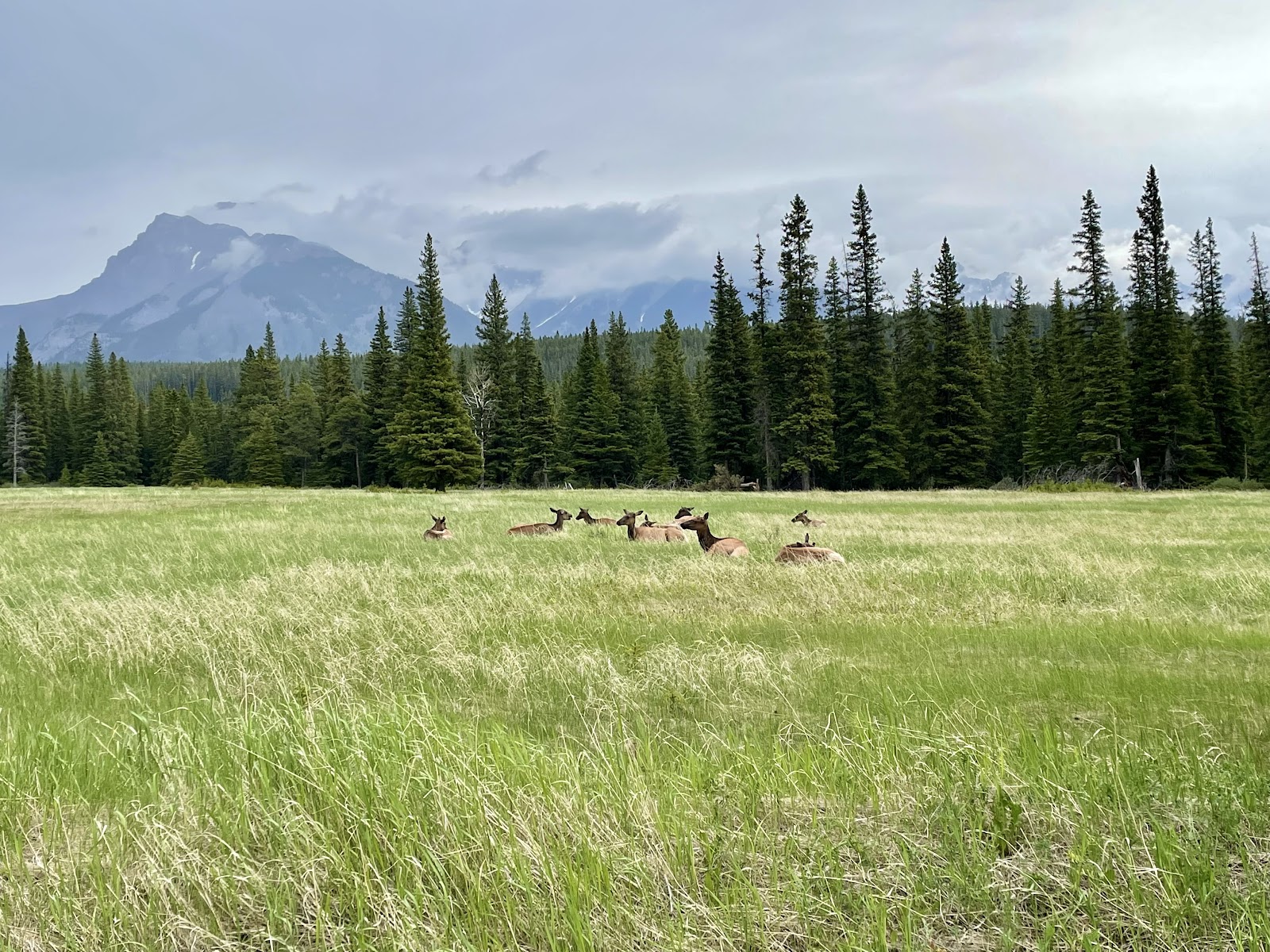 visiting banff national park