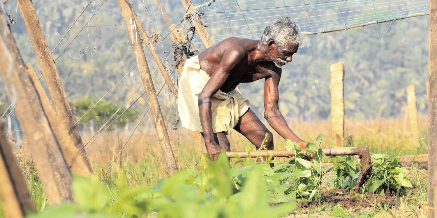 farmer in India tilling his field with a hand-held hoe