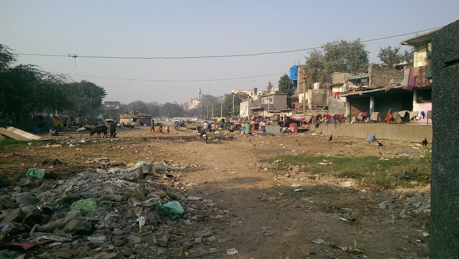IMAG0534.jpg