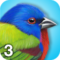 iBird Lite apk