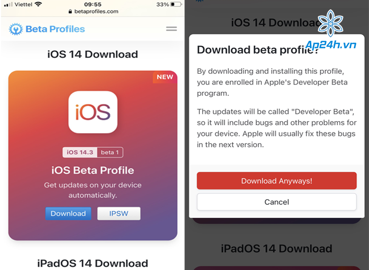 tải phiên bản iOS 14.3 beta profiles