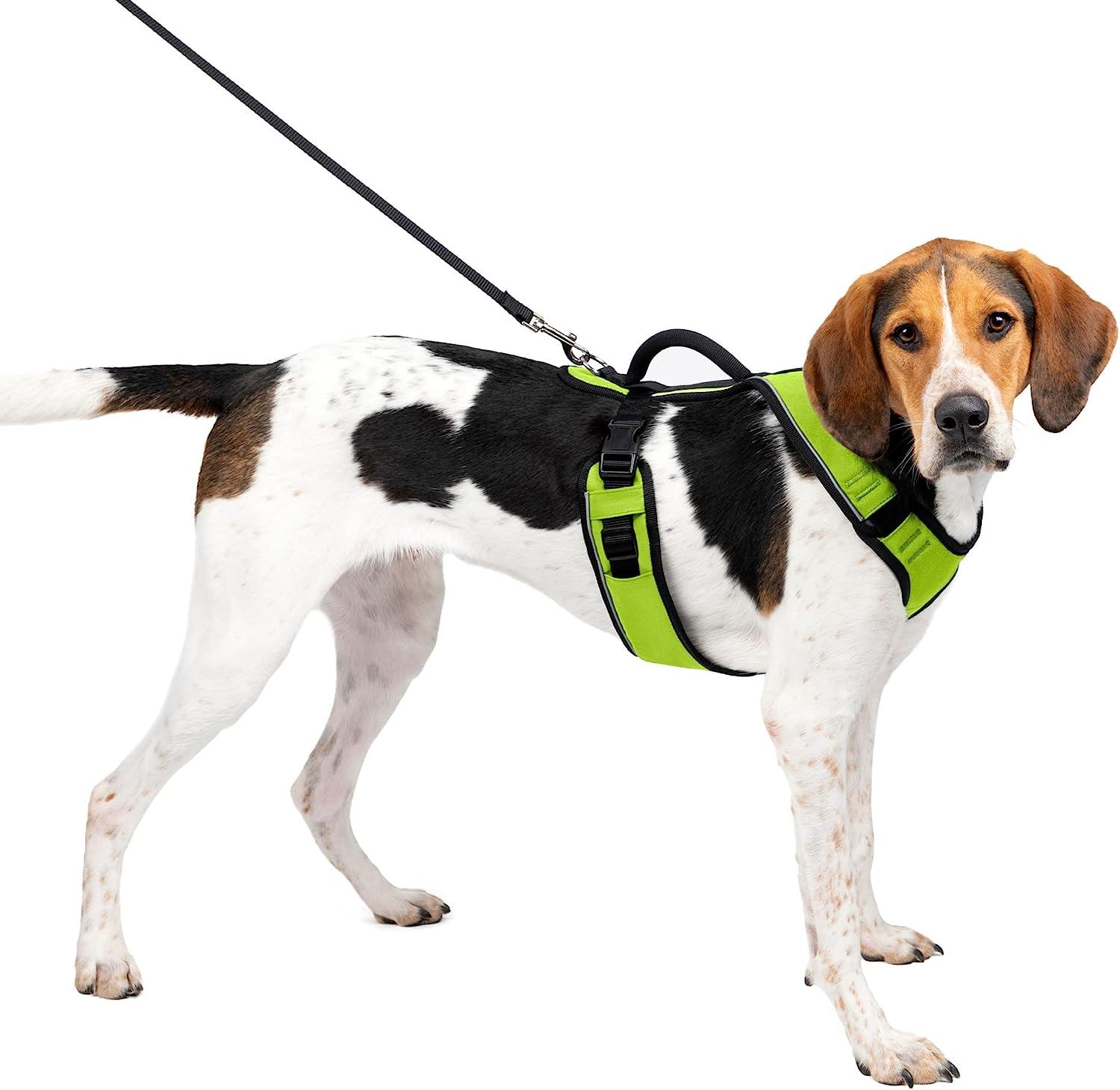 PetSafe Adjustable Padded Harness