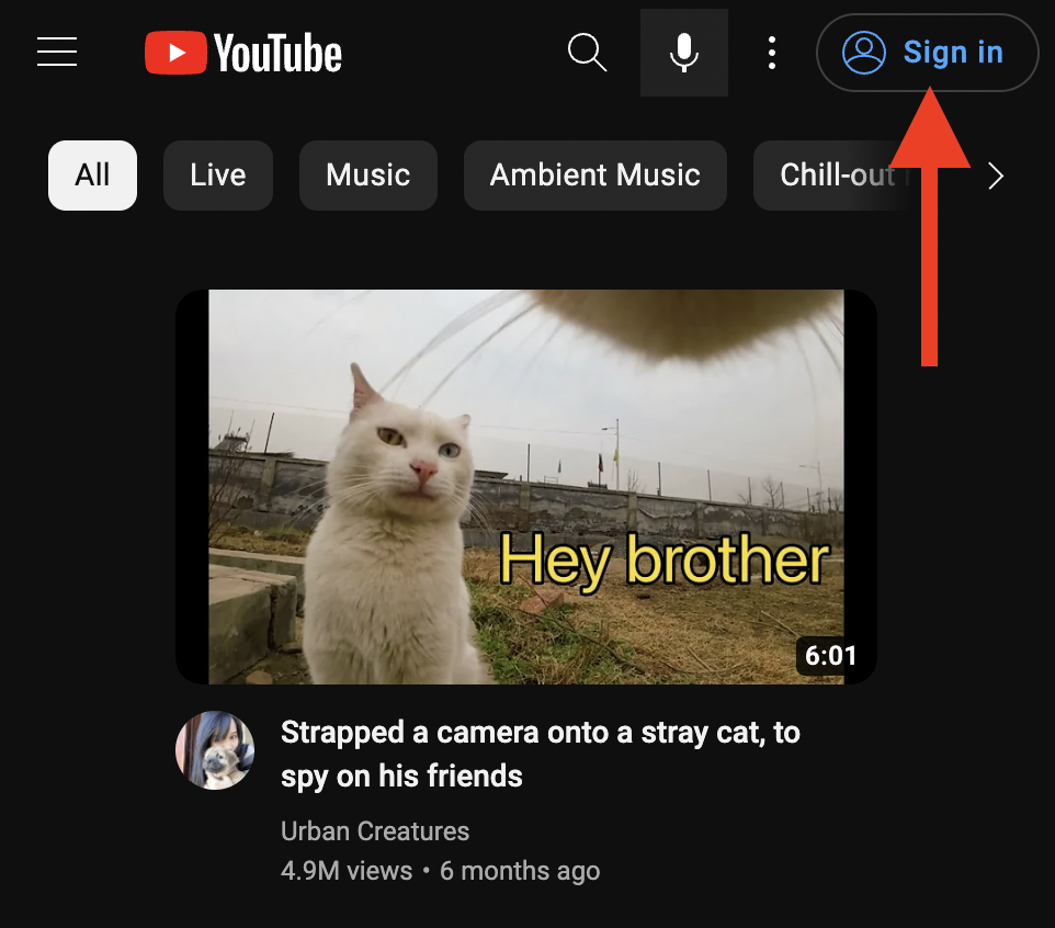 Screenshot with red arrow directing where to sign into the YouTube account.