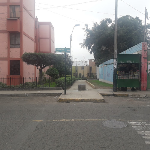 Jirón Jose Gabriel Aguilar Segura, Cercado de Lima 15056, Perú