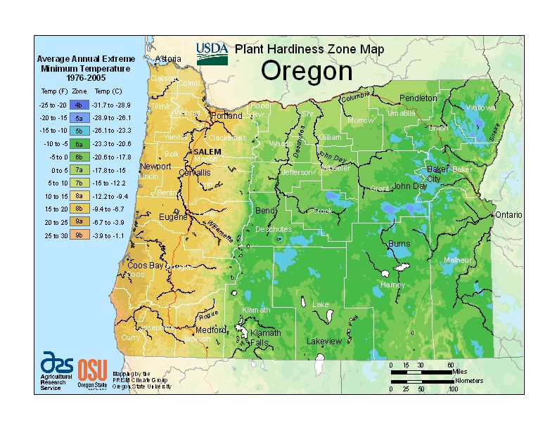 The new Hardiness map's here! The new Hardiness map's here! – The