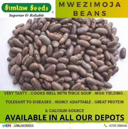Simlaw Seeds Co. Ltd on Twitter: "@KangetheJosphat This bean variety can do  well in semi-dry areas, has a potential yield of 8-10 bags per acre, seed  rate of 30kg per acre." /