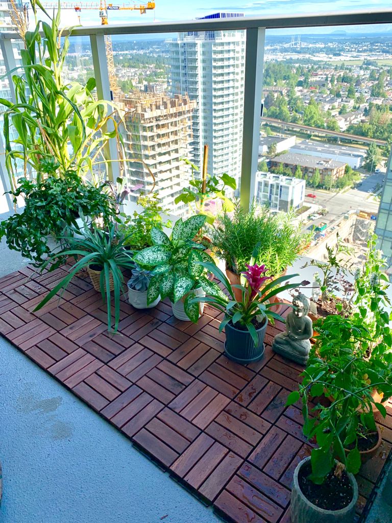 balcony garden - sustainable garden in a small space - tiffy cooks