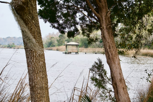 a Photo of Ahsley River at the foot of Charles Towne Landing, one of the historical landmarks in Charleston SC