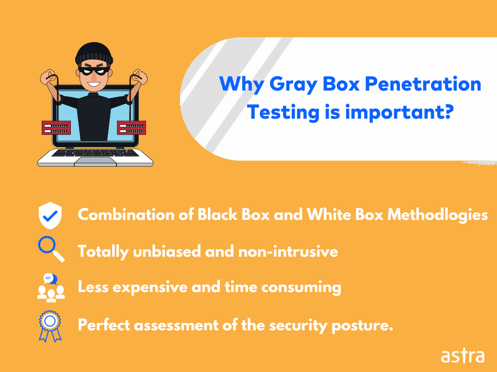 Why Gray box penetration testing is important?