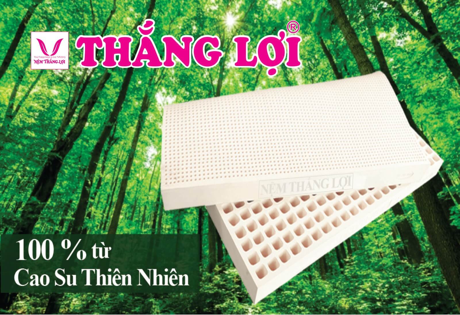 Nệm cao su Thắng Lợi