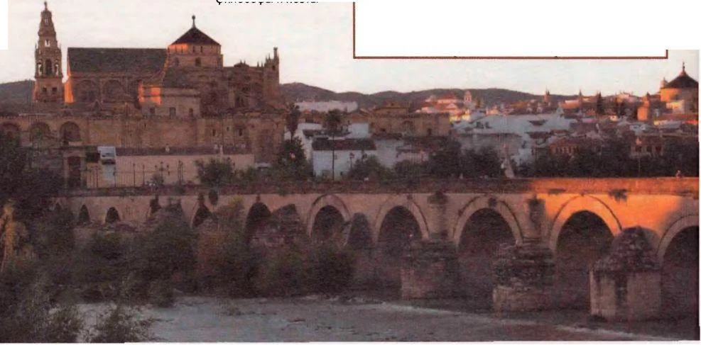.ile birlikte/