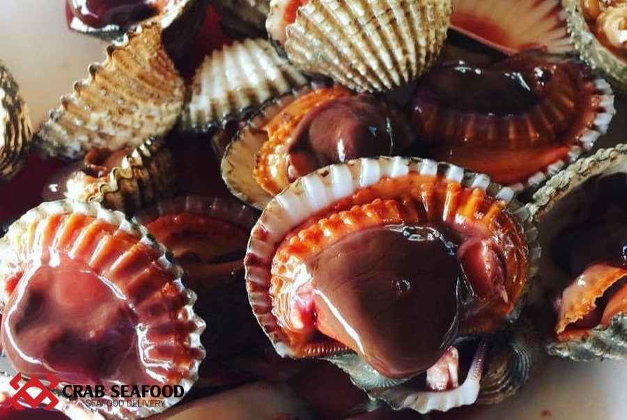 Mua sò huyết cồ ở đâu TP.HCM và cách mua sò huyết như thế nào? - Crab Seafood