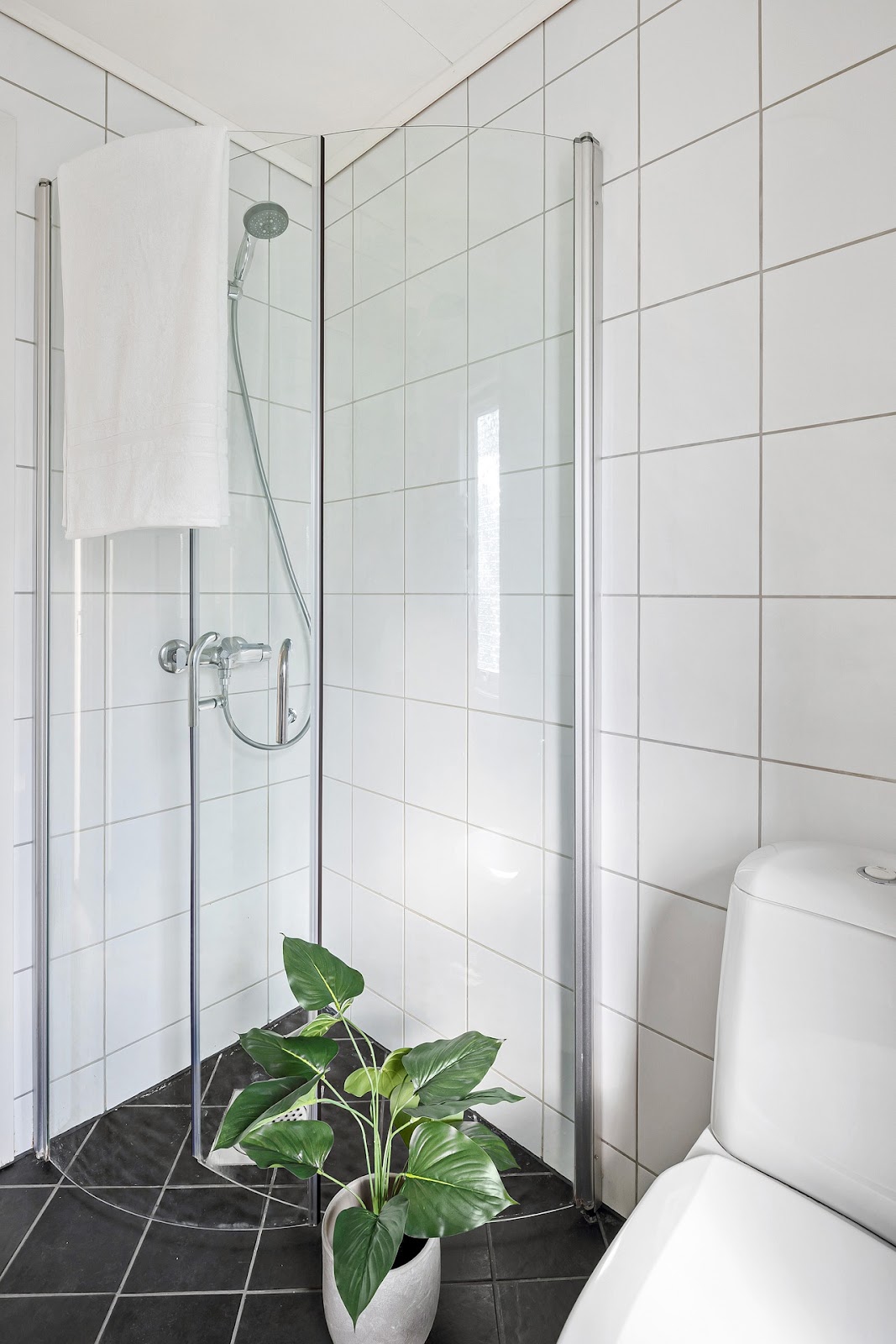 Bathroom with shower and houseplant