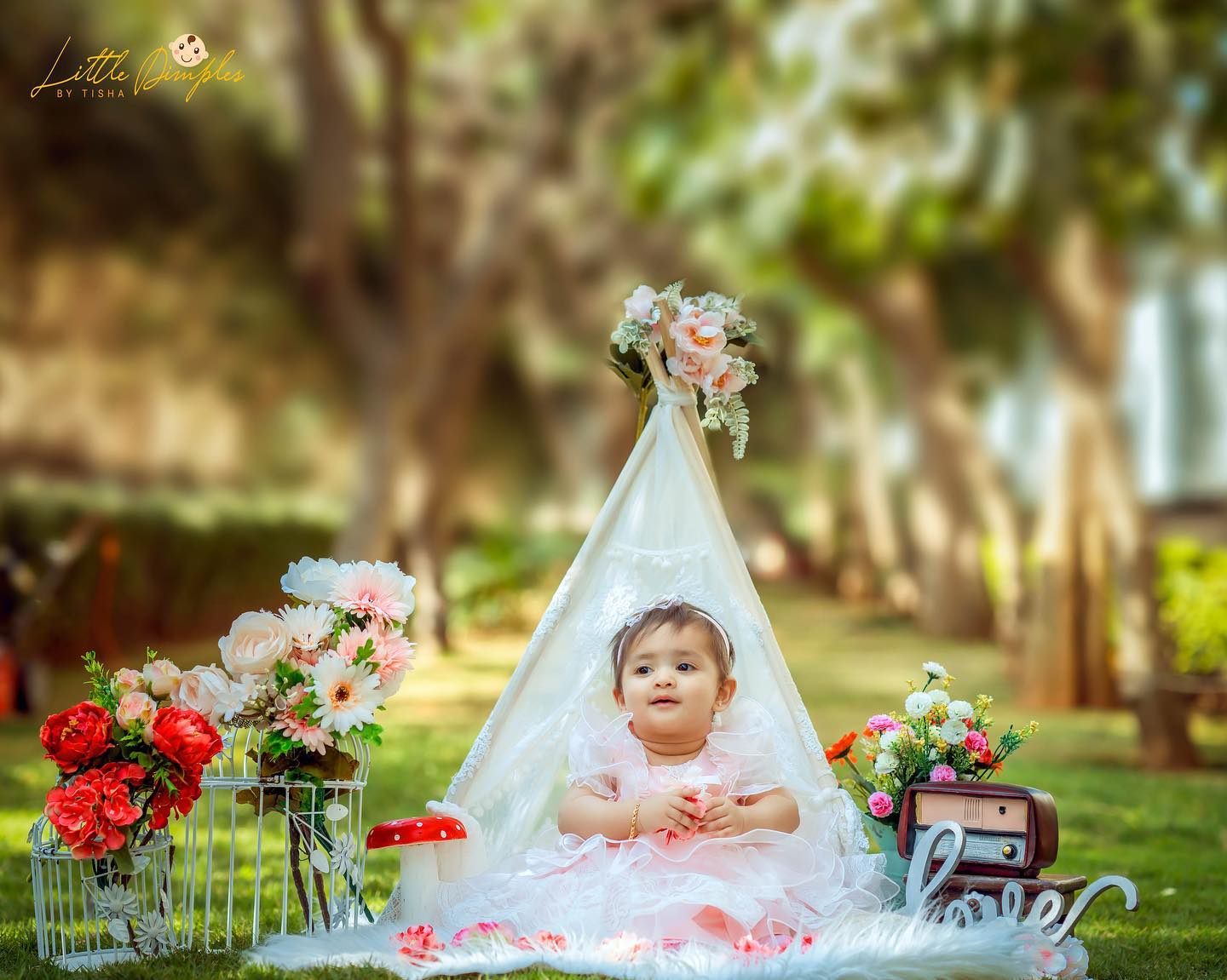 Little Dimples By Tisha works hard to capture precious moments in toddler photoshoot, allow the little to express their true emotions. Contact Us!
