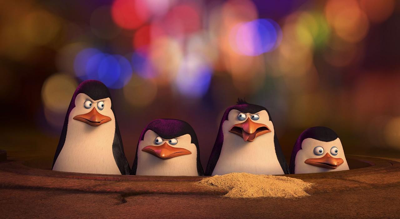 The hilarious penguin squad