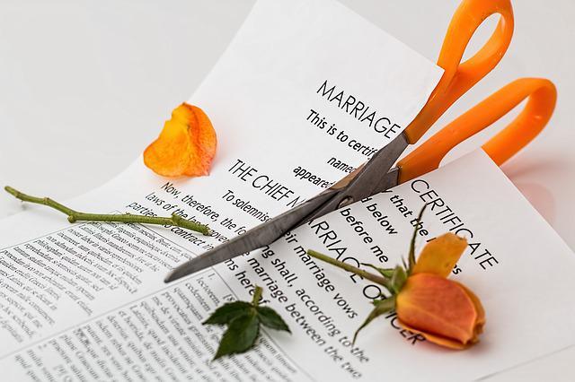 Pair of scissors cutting through marriage certificate and an orange rose as a symbol of divorce