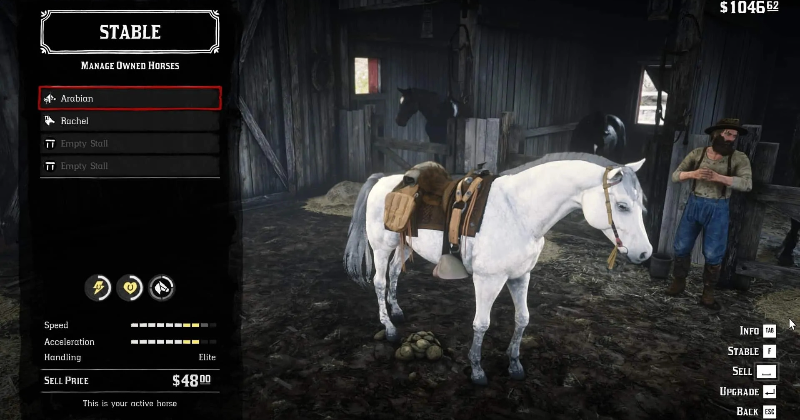 Check out your horse's stats in a stable.
