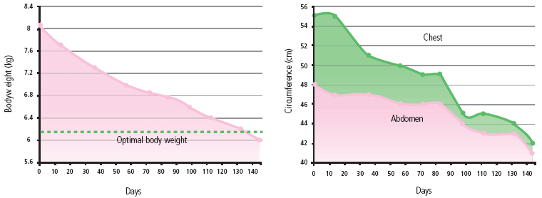 Evolution of body weight change versus morphometric measurements