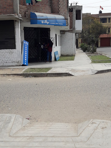 Opiniones de La Abeja Lavandería Wet Cleaning en Trujillo - Lavandería