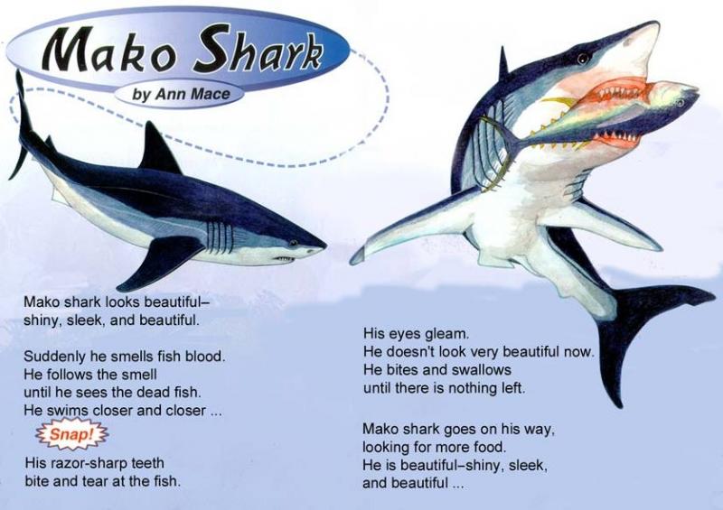 article about a mako shark