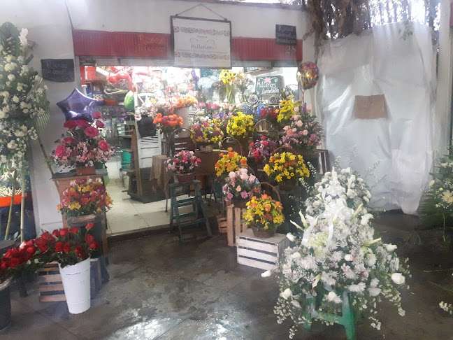 Florería Millefiori - Floristería
