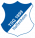 Logo Hoffenheim - TSG