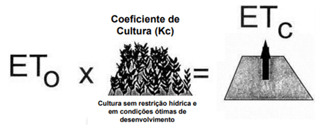 Evapotranspiração da cultura