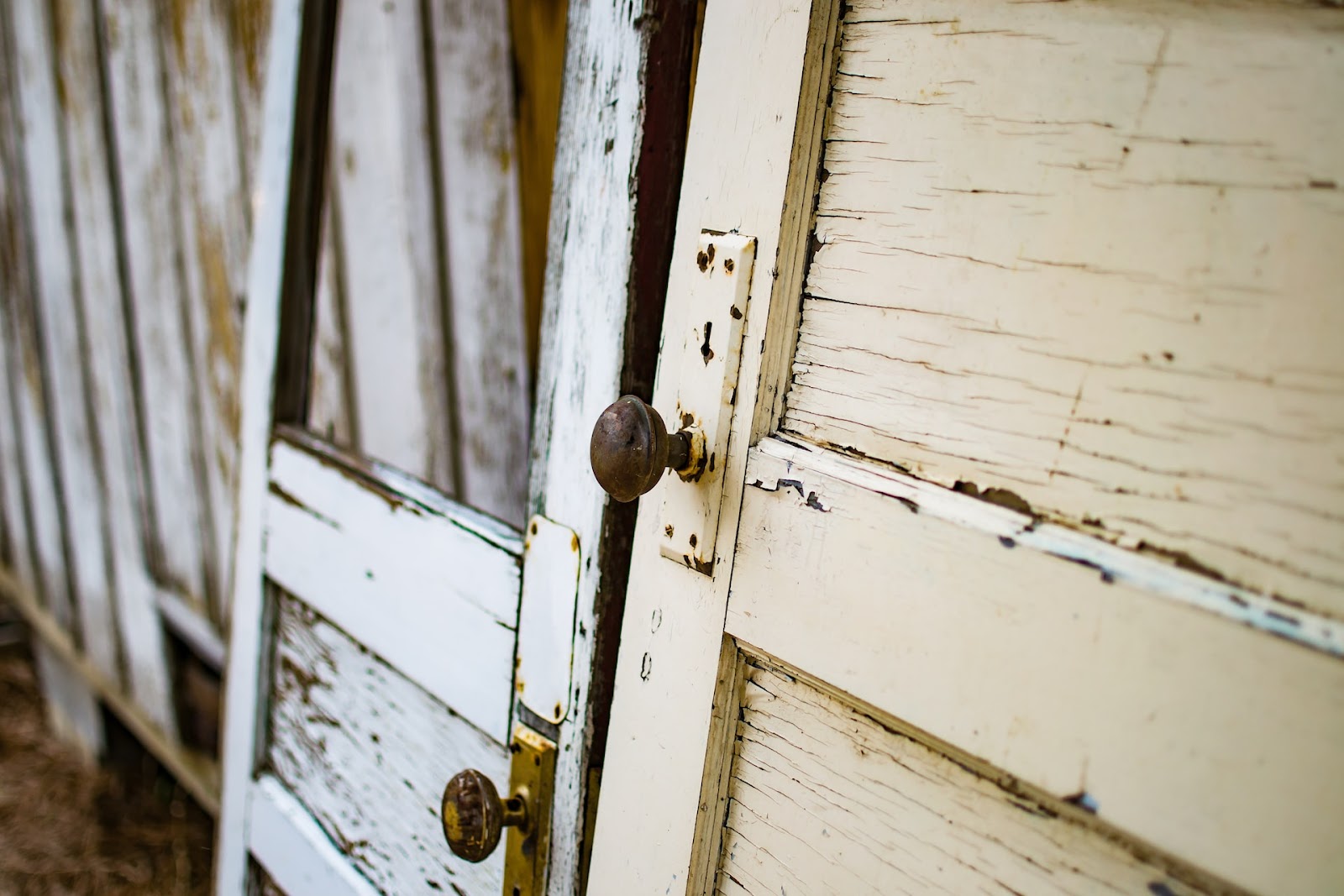 exterior door hinges