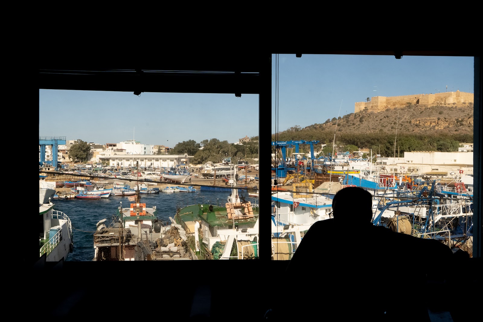 El puerto de Kelibia, Túnez, visto desde la oficina de Ashraf Hammami. | Foto: ©Davide Mancini