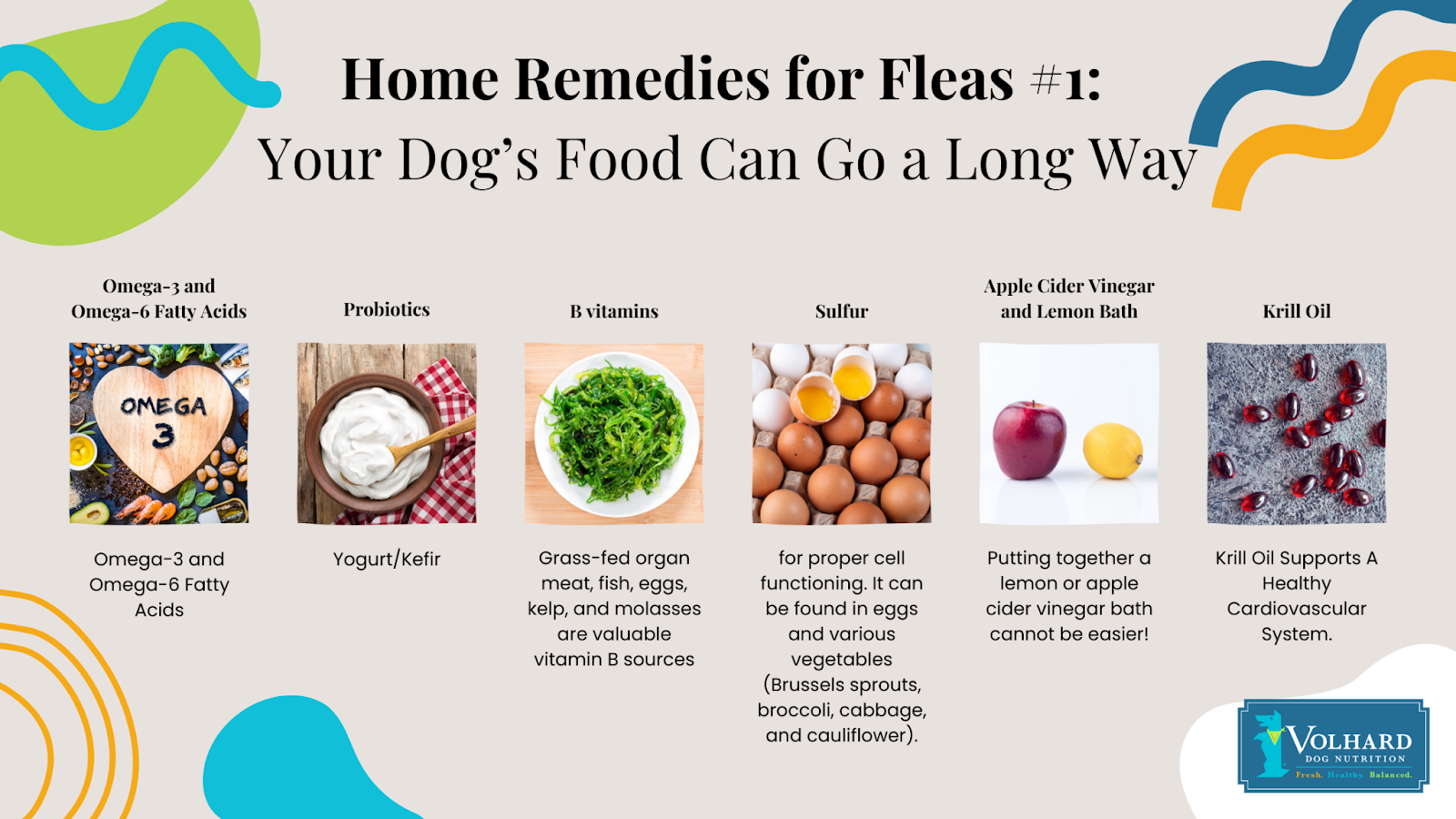 The right food is your first line of defense against fleas.