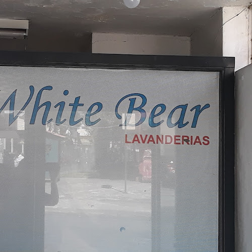 White Bear - Quito