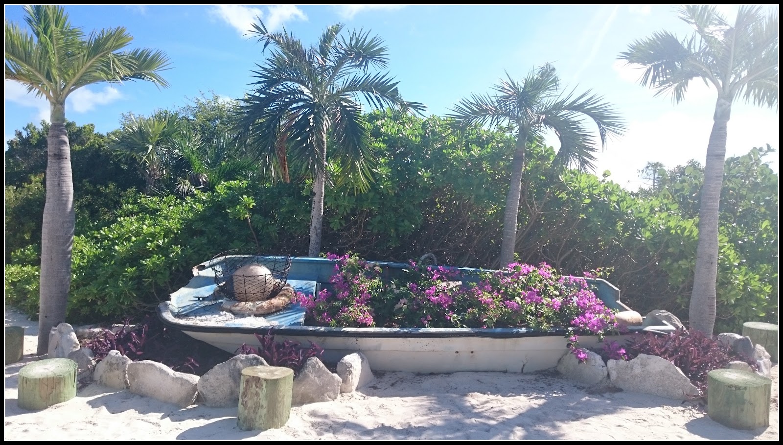 Bahamas-palm-trees-and-boat.jpg