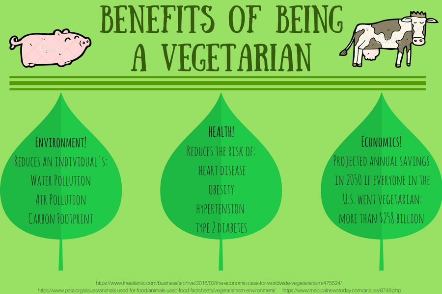 Benefits of A Vegetarian Diet – All About Vegetarianism