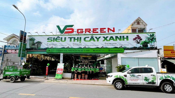 Tin đồn VsetGroup lừa đảo