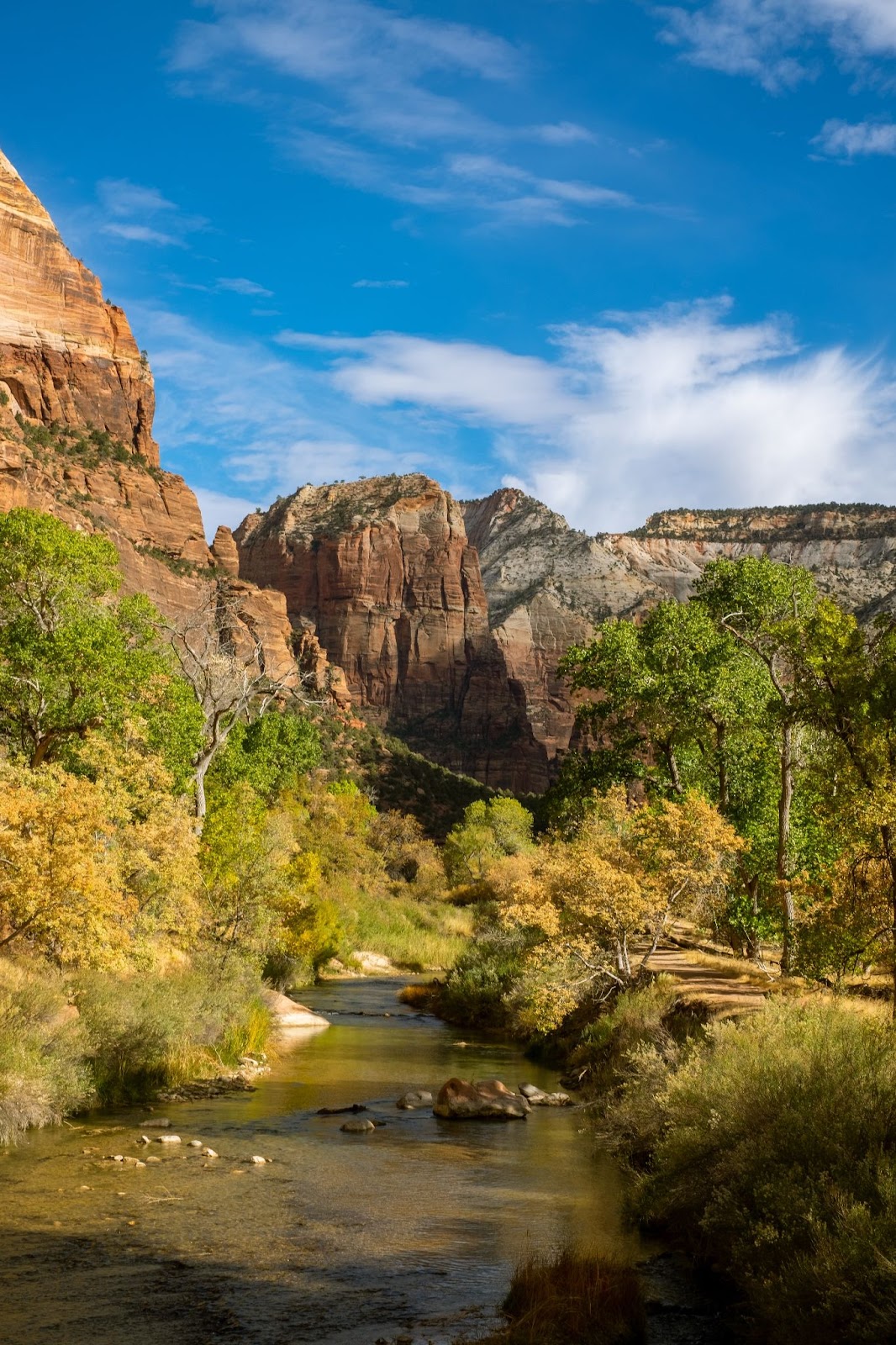 Is Zion National Park a Desert? (Explained!)