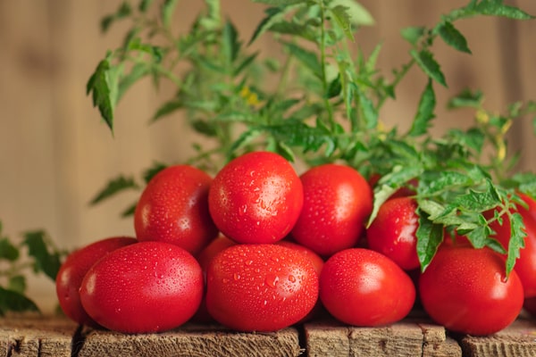 Cherry plum tomatoes with herb placed on a wooden table