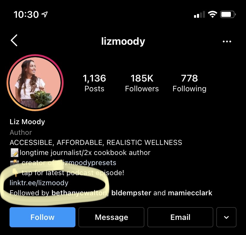 Instagram Bio Linktree
