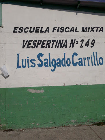 Opiniones de Escuela Fiscal Mixta Vespertina N° 249 Luis Salgado Carrillo en Guayaquil - Escuela