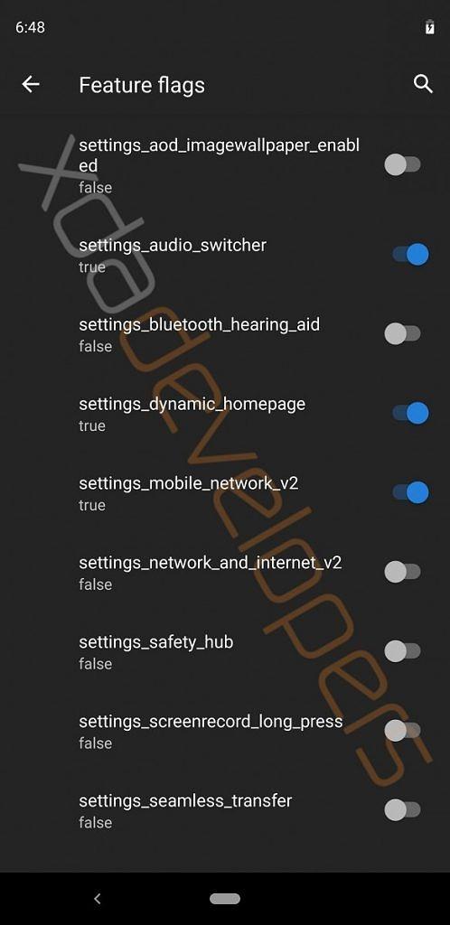 Android Q Developer Options