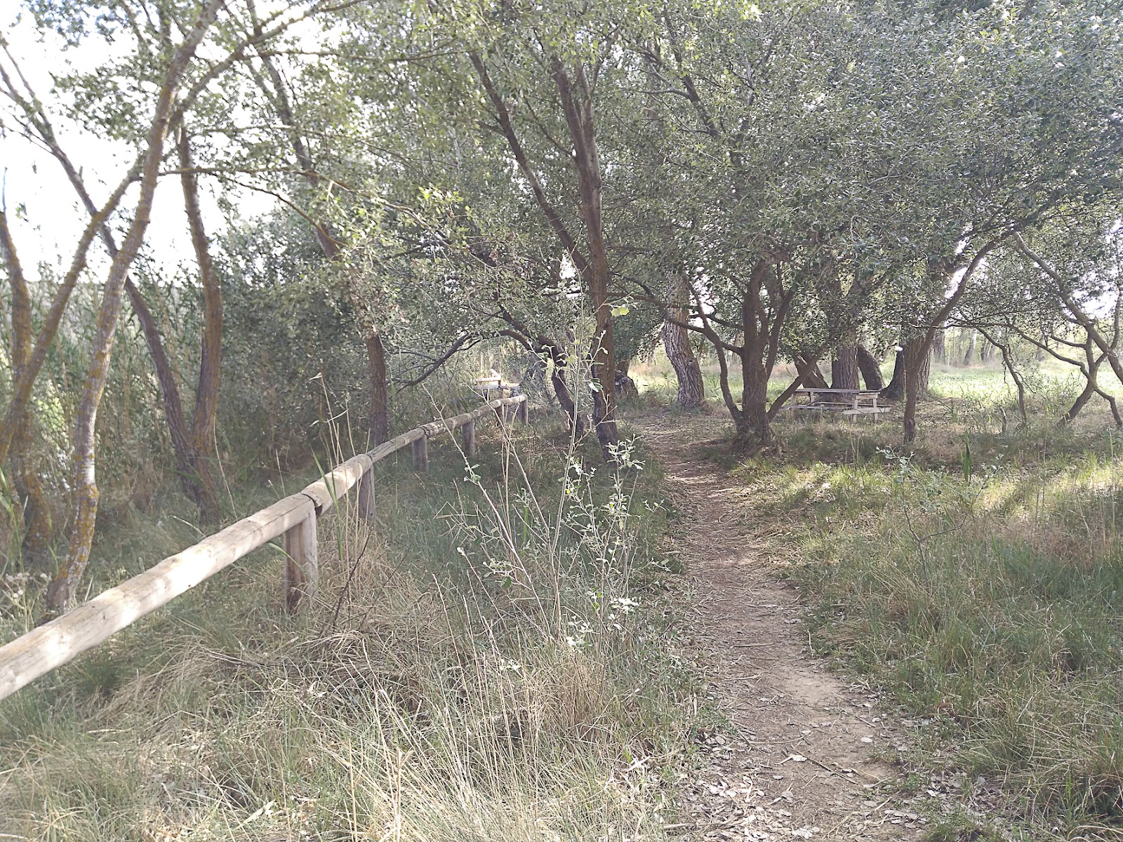 Villamanrique de Tajo (1 de 4).jpg