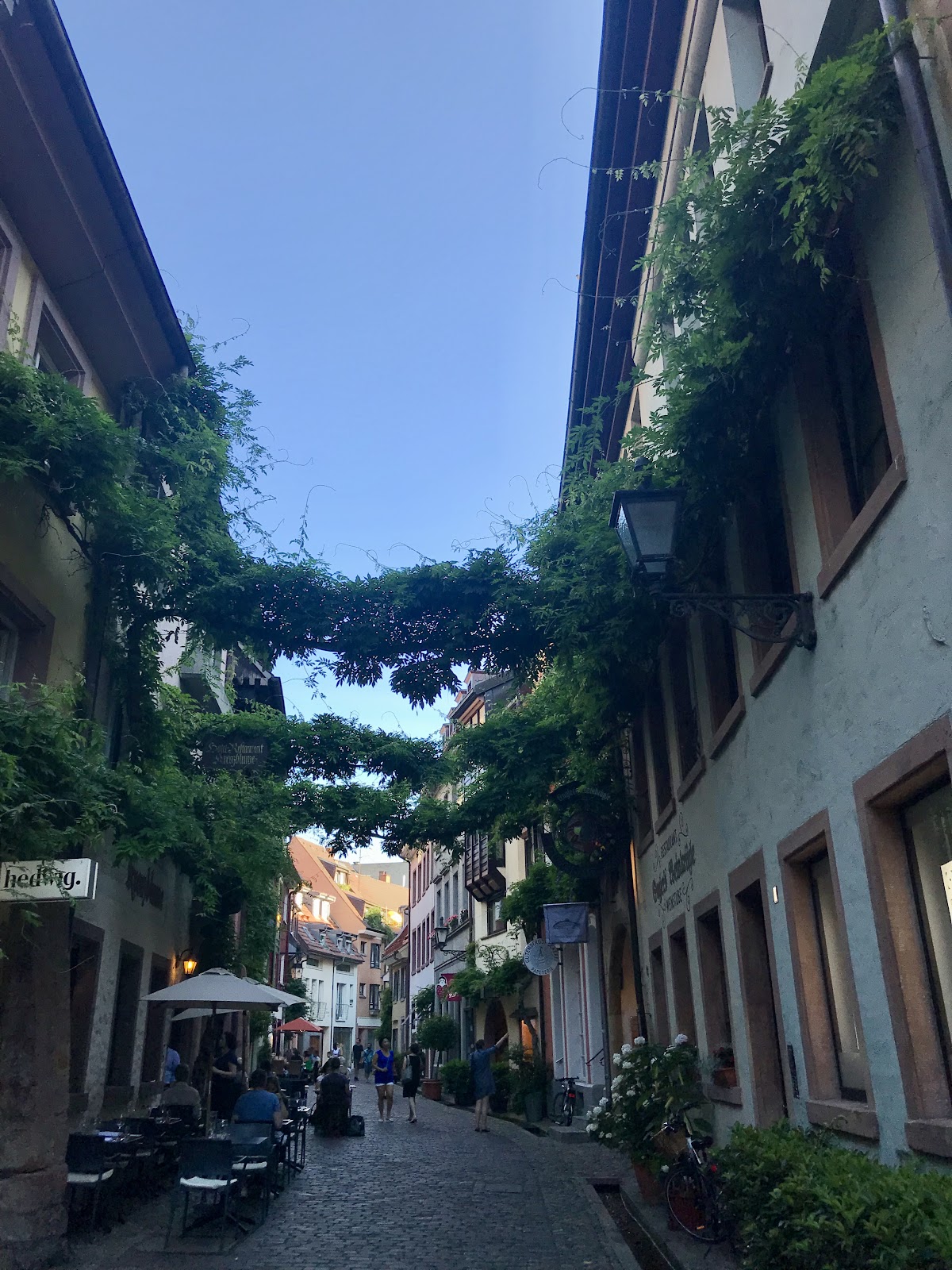 guide to Freiburg Germany