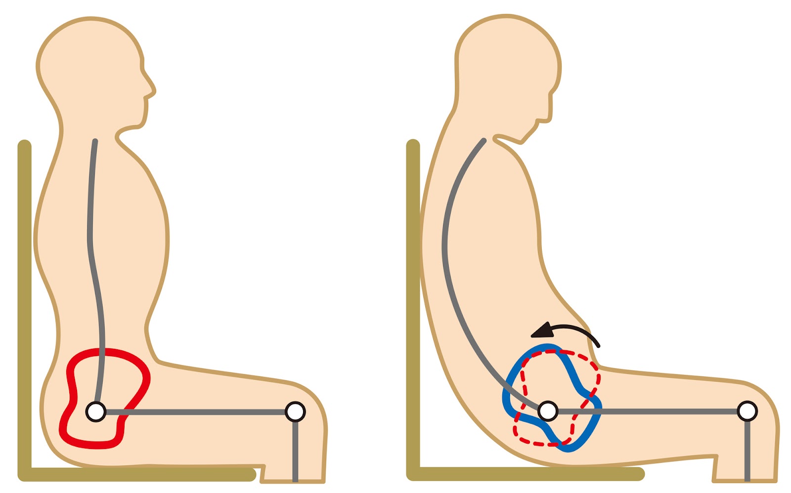 医学的に正しい姿勢を知ることで、より楽に座れる