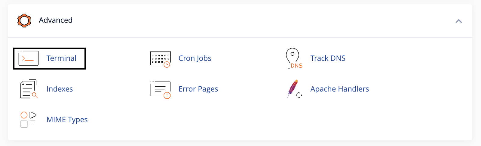 Control panel interface under the 'Advanced' section featuring icons for 'Terminal', 'Cron Jobs', 'Track DNS', 'Indexes', 'Error Pages', 'Apache Handlers', and 'MIME Types'.