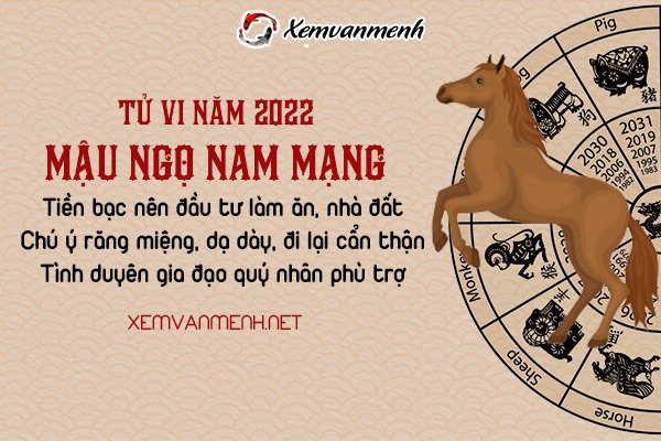 tu-vi-tuoi-mau-ngo-nam-2022-nam-mang-1978