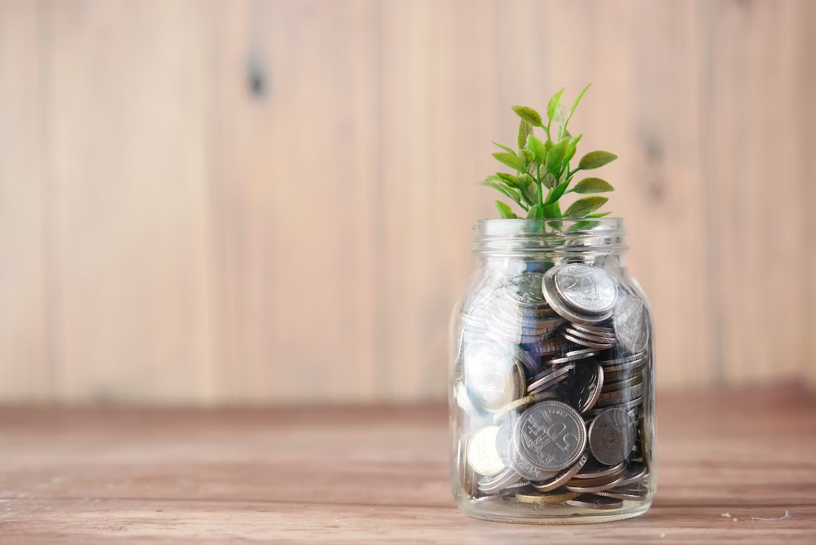 Investment growth is illustrated by a plant sprouting from money