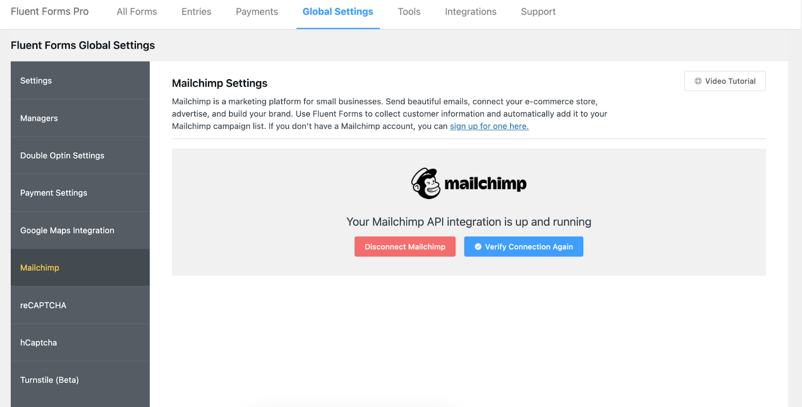 Mailchimp settings, fluent forms